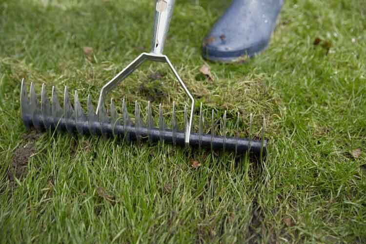 tuinkalender maart welkoop